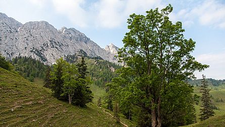 Zettenkaiser, Scheffauer und Hackenköpfe (von rechts)