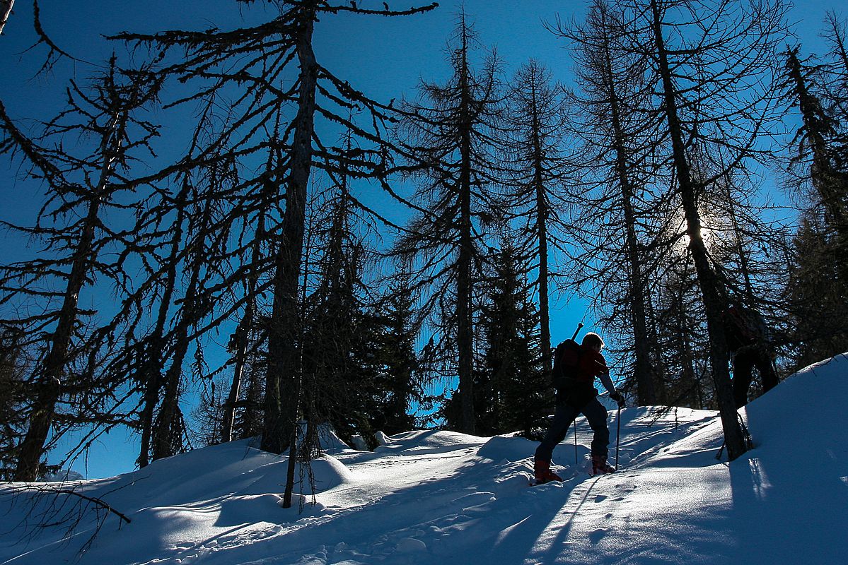 Licht- und Schatten im einsamen Wald am Runseck 
