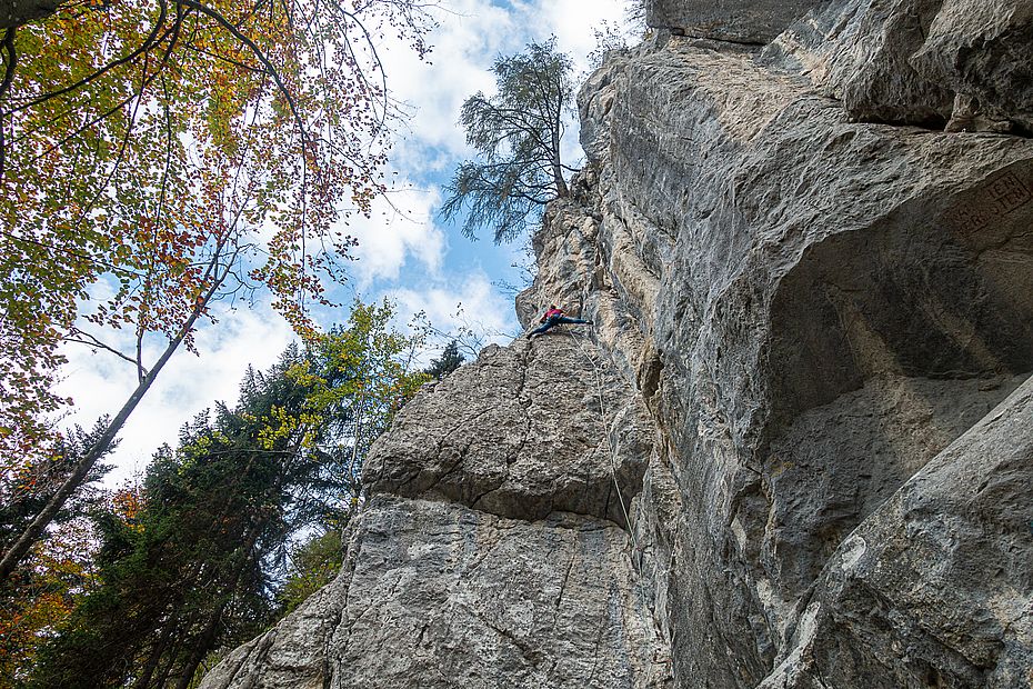Mit guter Verschneidungstechnik ist die Grussmannführe ein Genuss