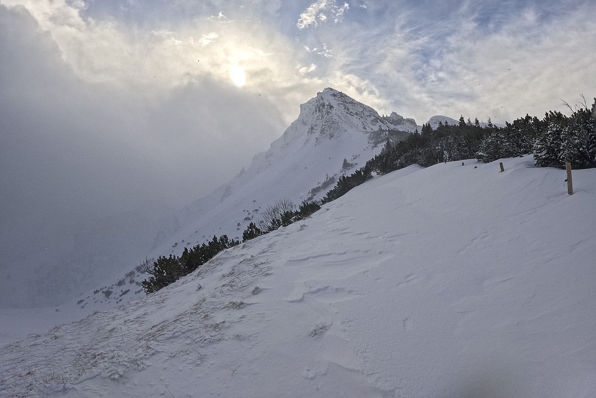 Sturmumtoste Rotwand vom Miesingsattel