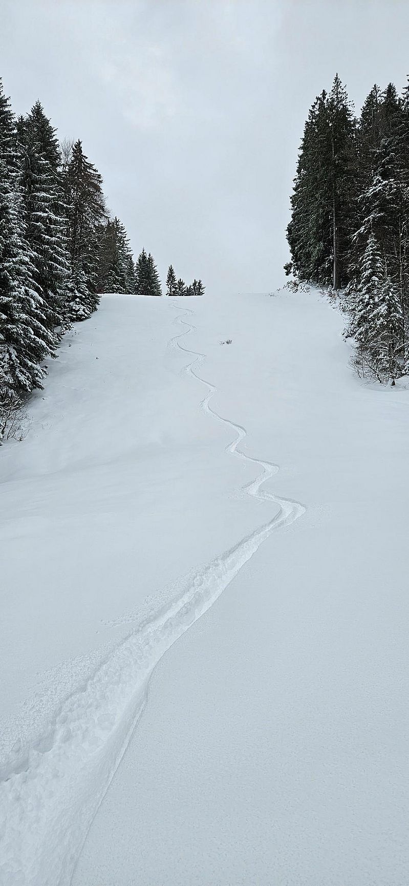 Gute Bedingungen für die Abfahrt