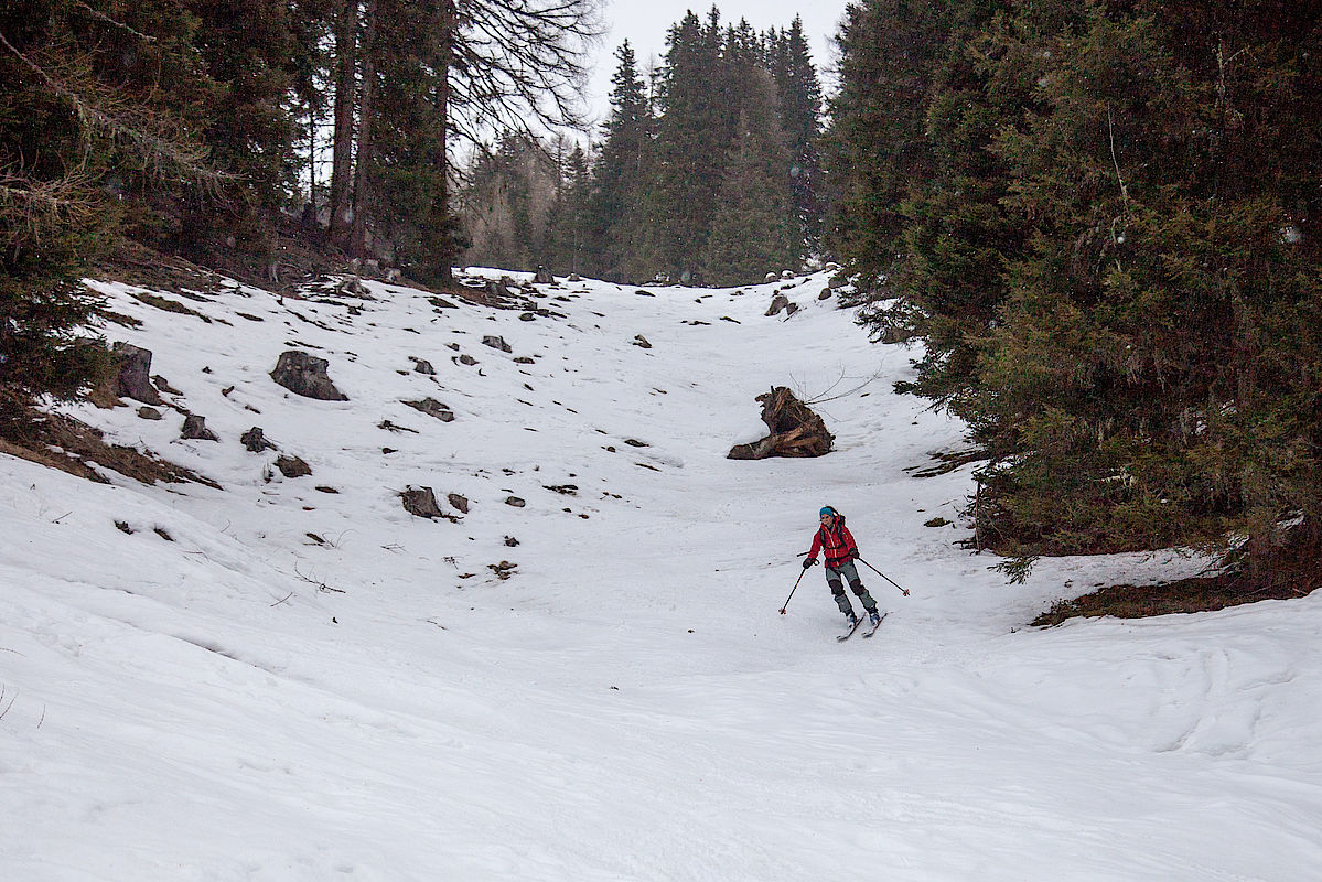 Weniger gute Bedingungen herrschten am Dienstag am Hohen Napf - Hier der obere Teil der Waldschneise, der Schnee wurde unten noch weniger.