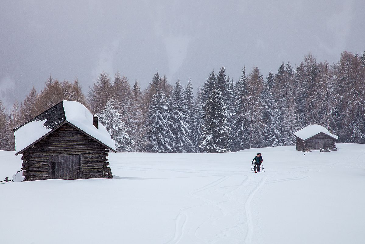 An den geneigten Wiesen der Maurer-Alm im Aufstieg zum Campill 