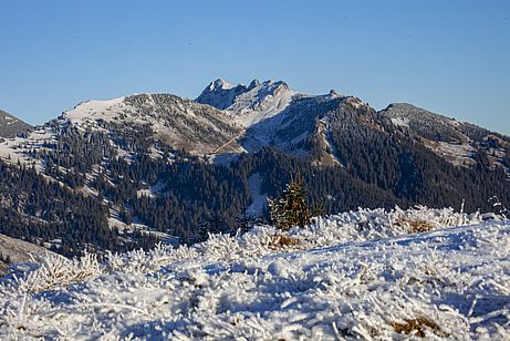 Kalte Temperaturen und gefrorener Boden, aber kein Schnee im Rotwandgebiet
