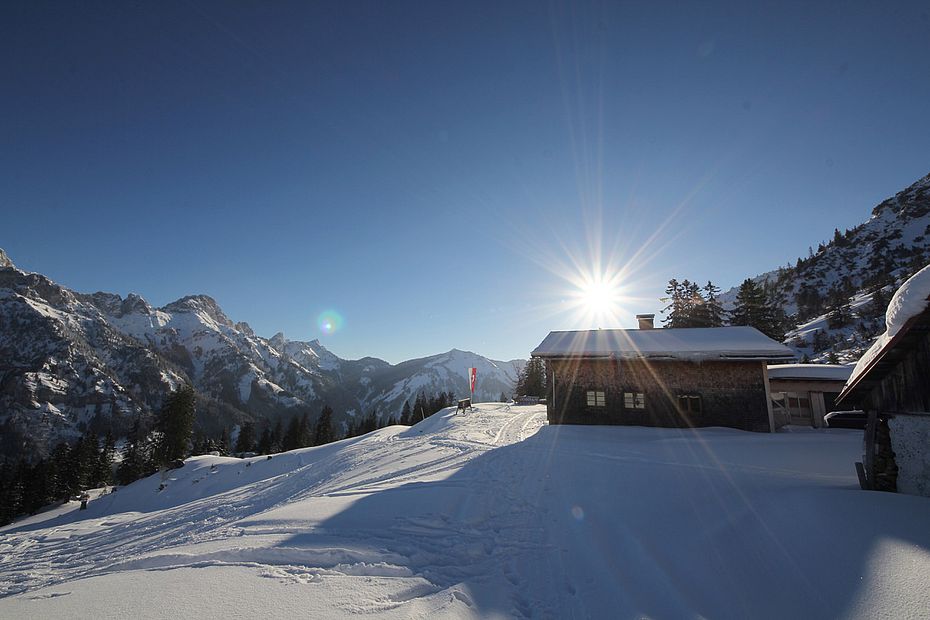 Die Krinnenalpe über Nesselwängle im Tannheimer Tal