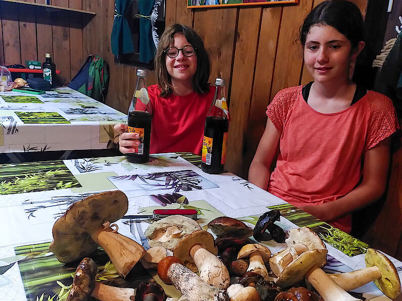 Im gemütlichen Aufenthaltshütterl des Spiegelauer Campingplatzes wird abends ein leckeres Schwammerlgericht gekocht