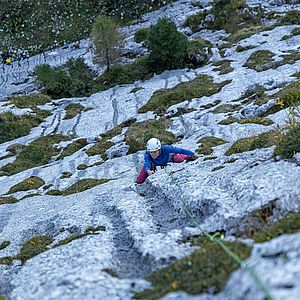 Der Weg durch die Silberflosse