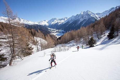 Am Weg zum Schlüsseljoch mit der Hammer-Kulisse des Pfitschertales im Hintergrund. Am Weg zum Schlüsseljoch mit der Hammer-Kulisse des Pfitschertales im Hintergrund.