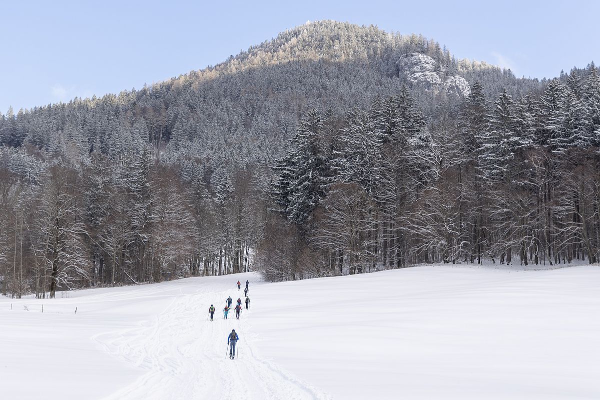 Solide Schneelage auf den Wiesen von Hohenaschau