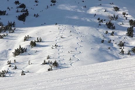 In den nordseitigen Hängen der Krinnenspitze hält sich der Pulverschnee lange