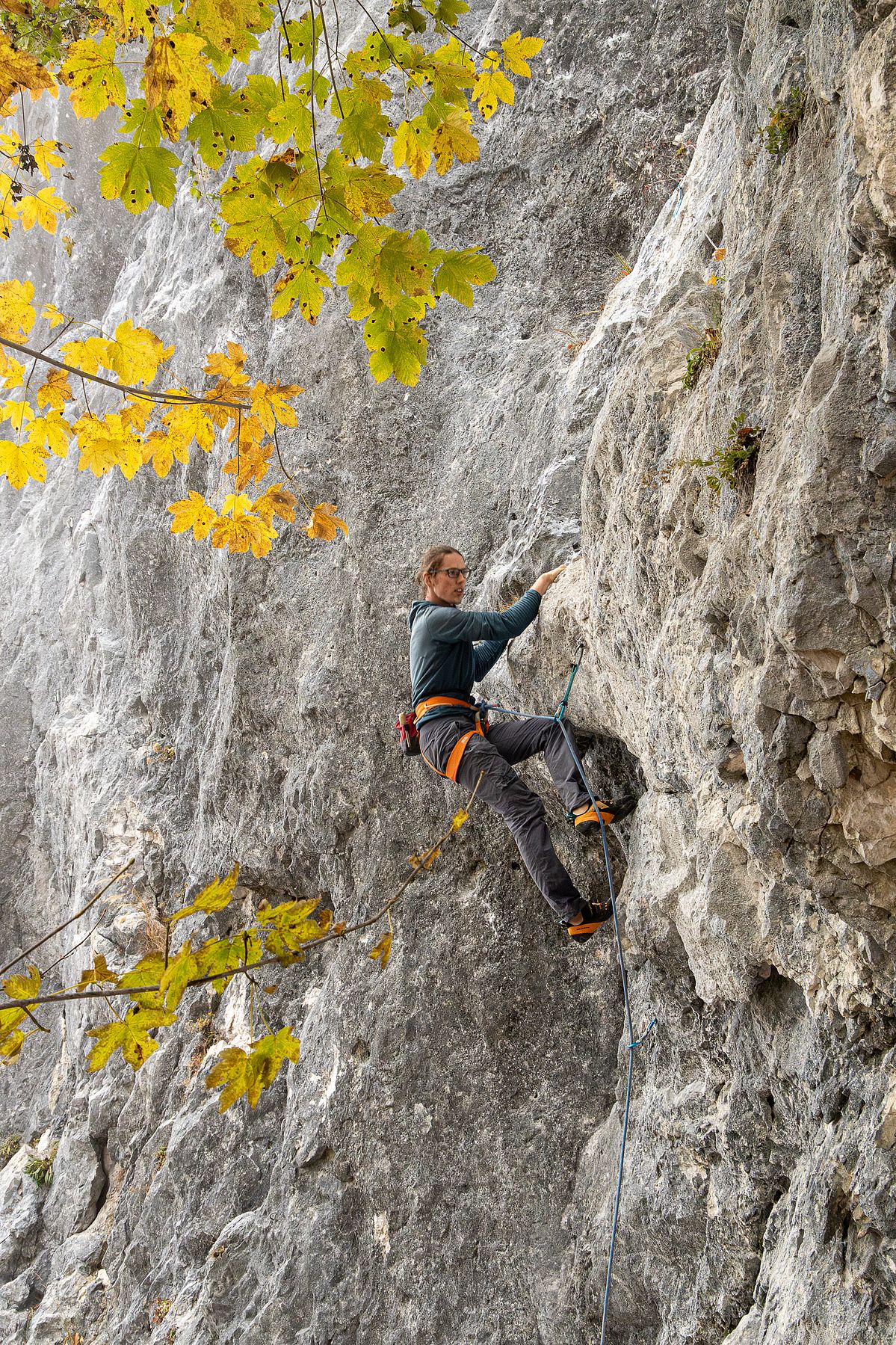 Herbstklettern an der Zellerwand