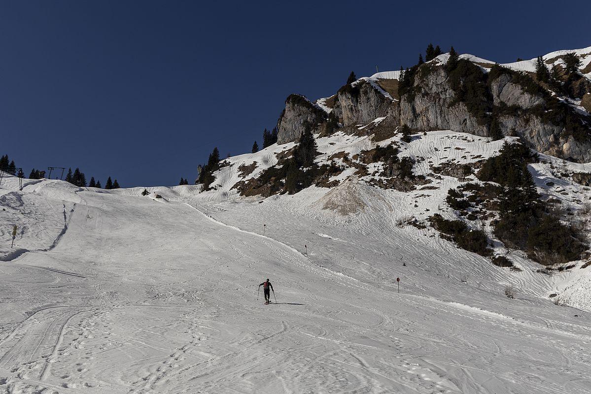 Oberhalb der Stiealm