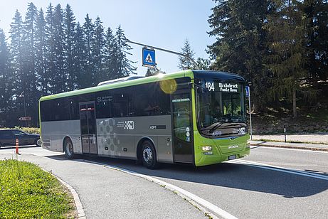 Da kommt schon der grüne Bus, der uns nach Bozen hinabfährt Da kommt schon der grüne Bus, der uns nach Bozen hinabfährt