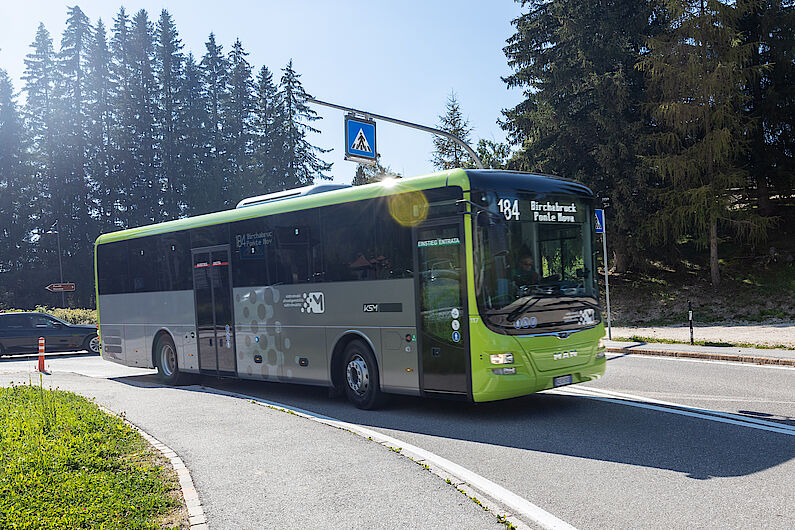 Da kommt schon der grüne Bus, der uns nach Bozen hinabfährt