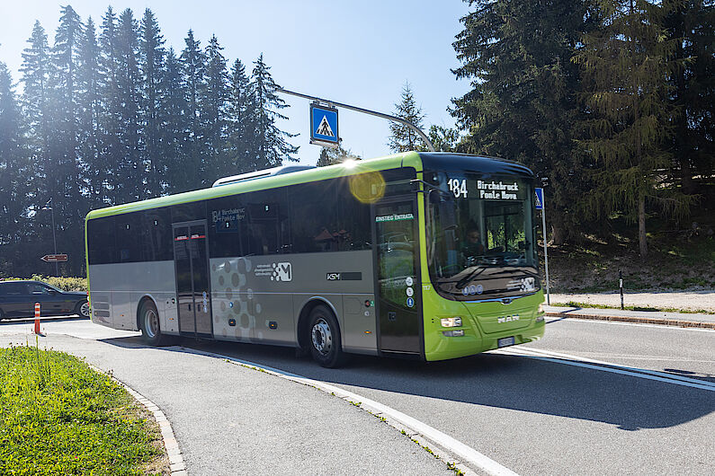 Da kommt schon der grüne Bus, der uns nach Bozen hinabfährt