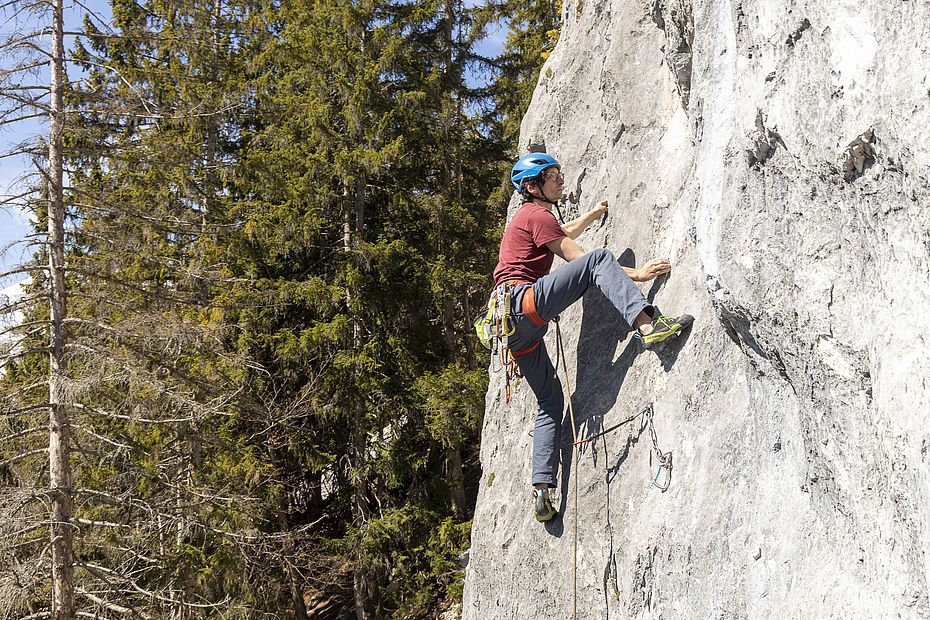 Stefan startet in "The Queen" (7+)