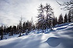 Winterwunderland im Villgratental