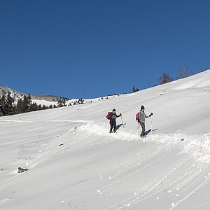 Meistens liegen 10-15 cm Pulverschnee auf Gras und Steinen