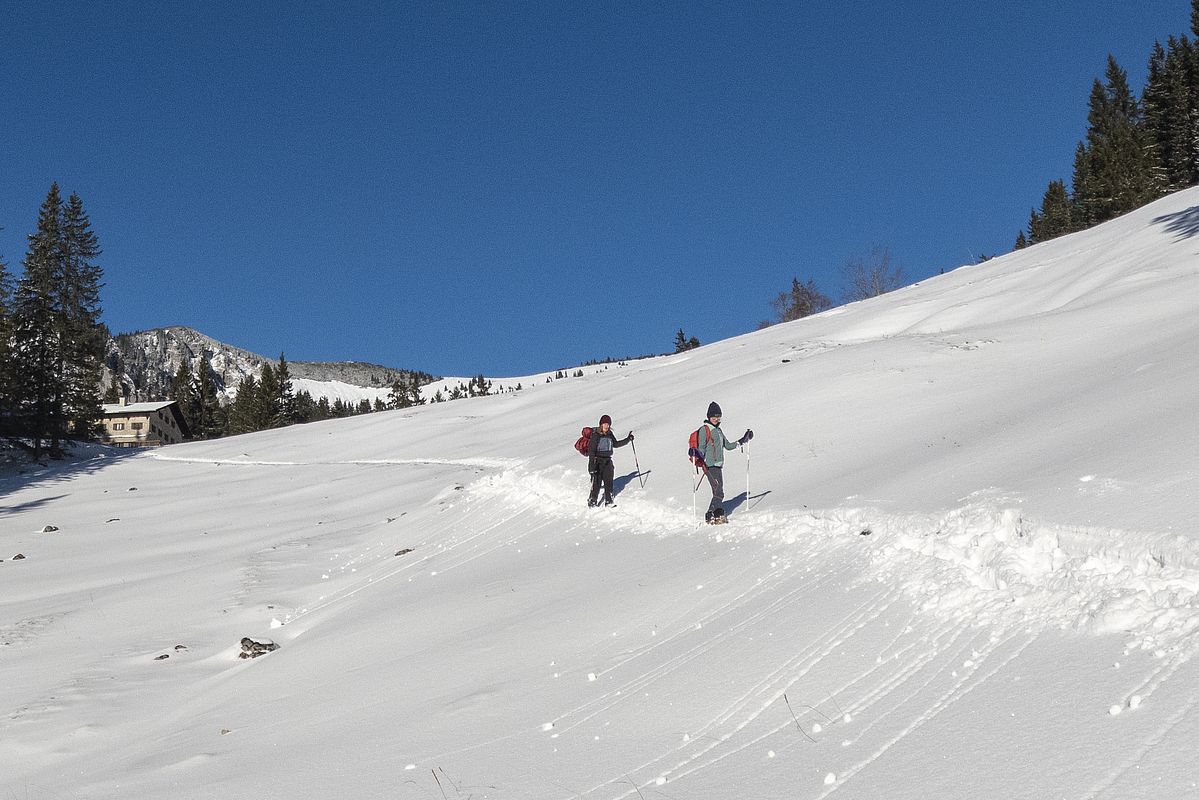Meistens liegen 10-15 cm Pulverschnee auf Gras und Steinen