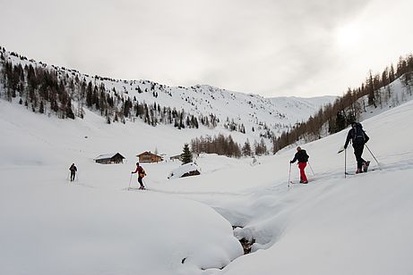 Kurz vor der Schöntalalm Kurz vor der Schöntalalm