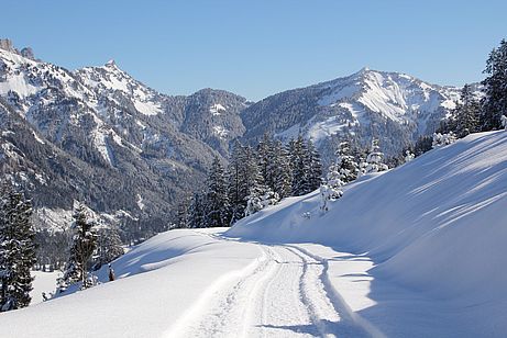 Die Aufstiegsroute zur Krinnenalpe