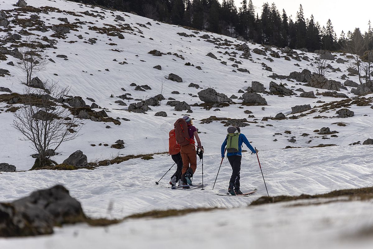 Das Steinerne Meer an der Freudenreichalm