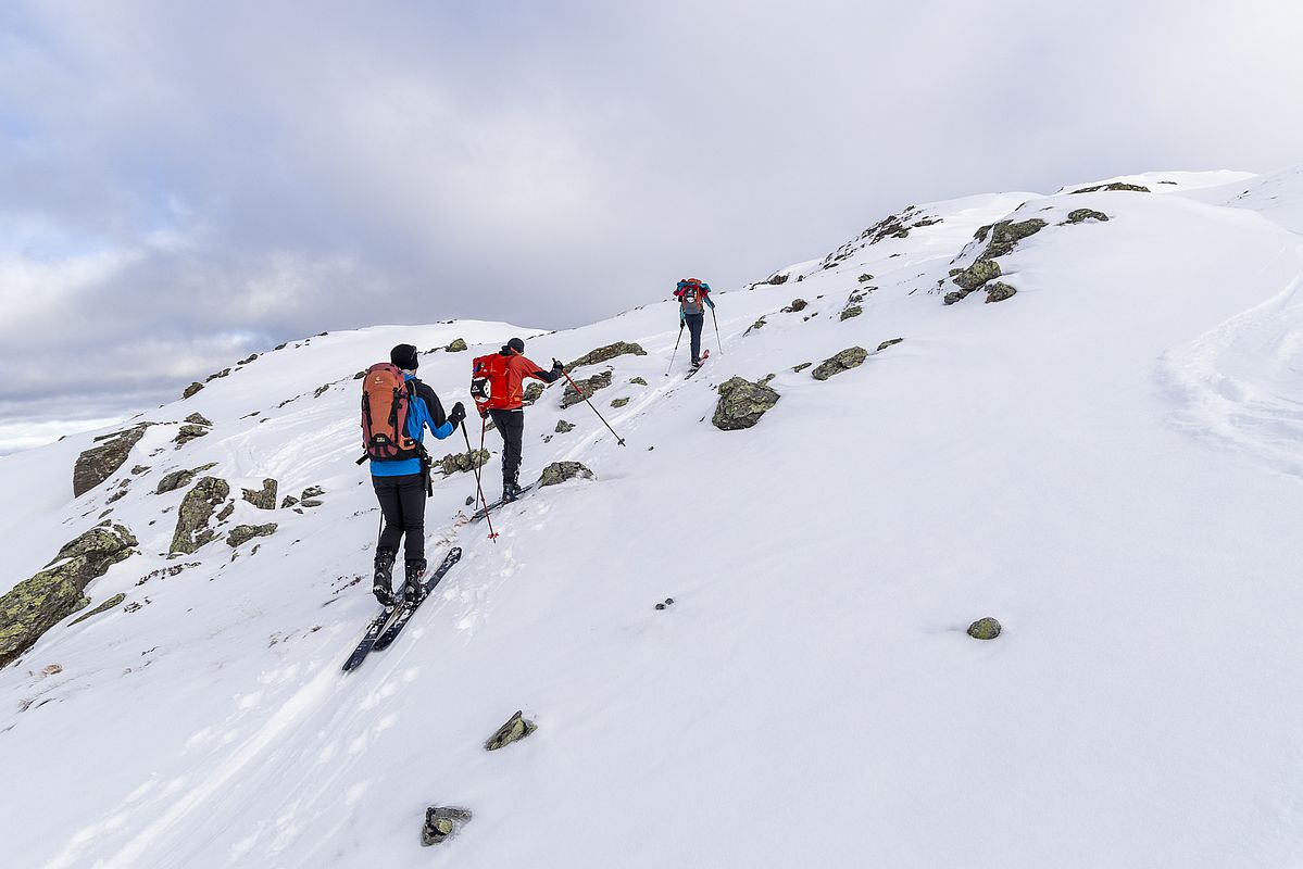 Abgeblasen uns steinig am Gipfelrücken