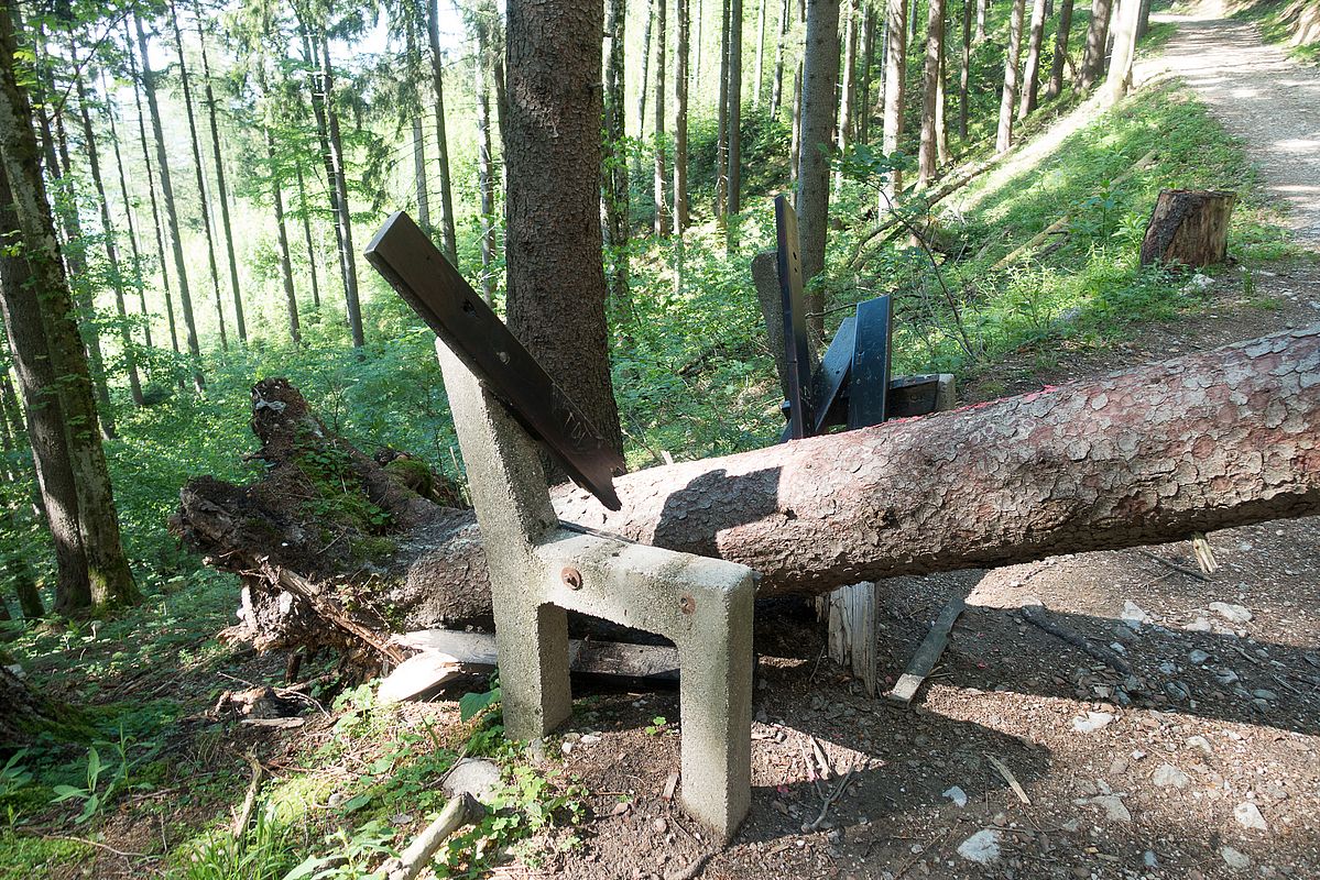 Der Schneebruch hat nicht nur Baumschäden zur Folge