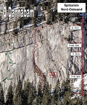 Spitztstein-Ostwand "O Dannabam"