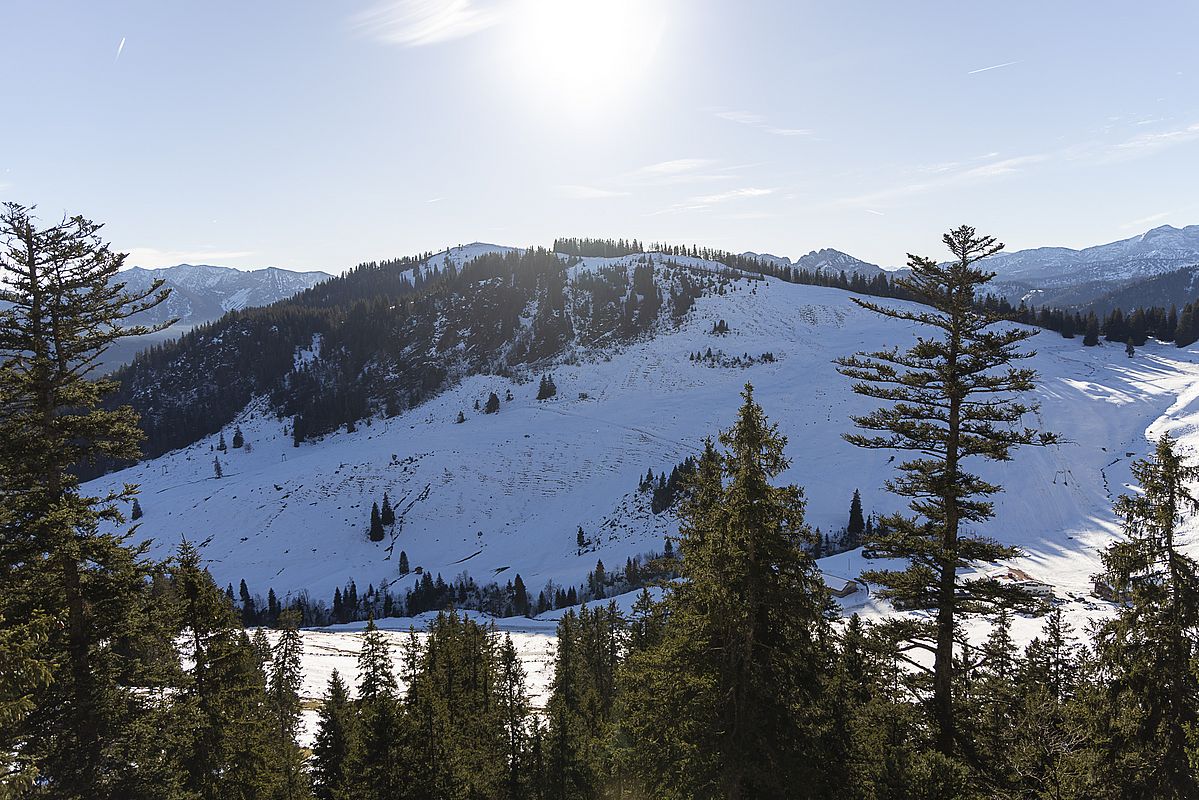 Blick auf den Nordhang vom Stümpfling
