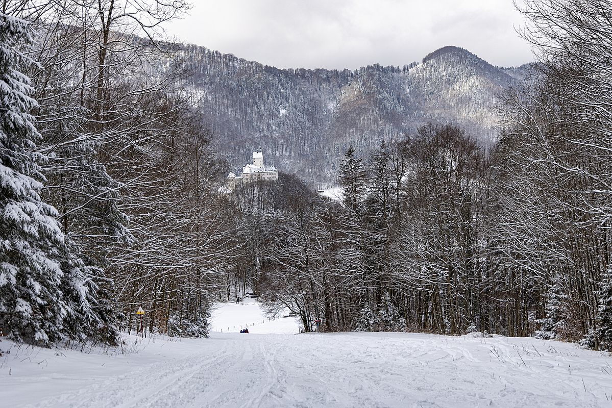 Blick zum Schloss Hohenaschau