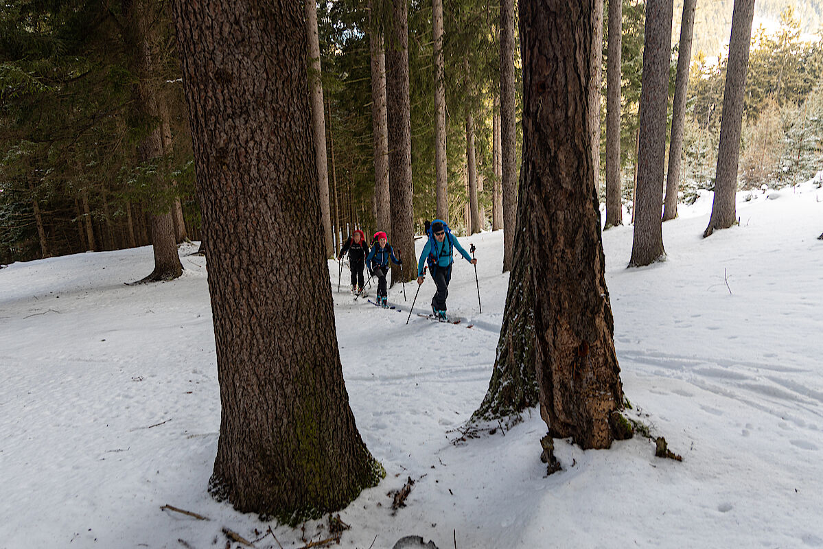 Im Wald oberlahb von Ellbögen