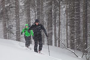 Auf Höhe der Schossrinnalm verlassen wir den dichteren Wald