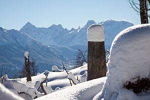 Pulverschnee und Sonnenschein am Simetsberg 