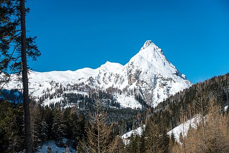Im landschaftlich einmaligen Riedingtal. Im landschaftlich einmaligen Riedingtal.