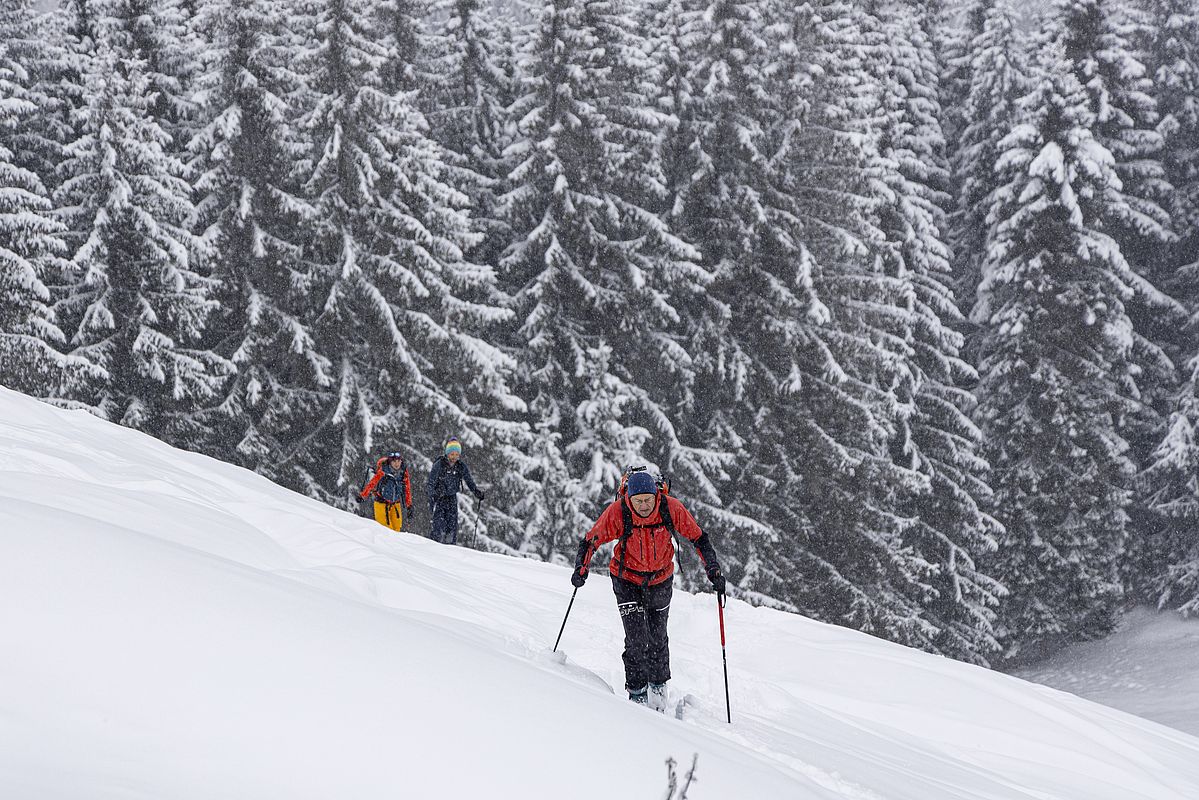 Auf den Wiesen der Schoisseralm