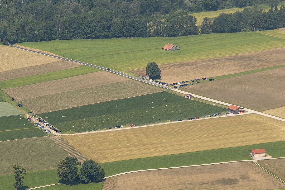 Tiefblick auf die Schlacht am Erdbeerfeld