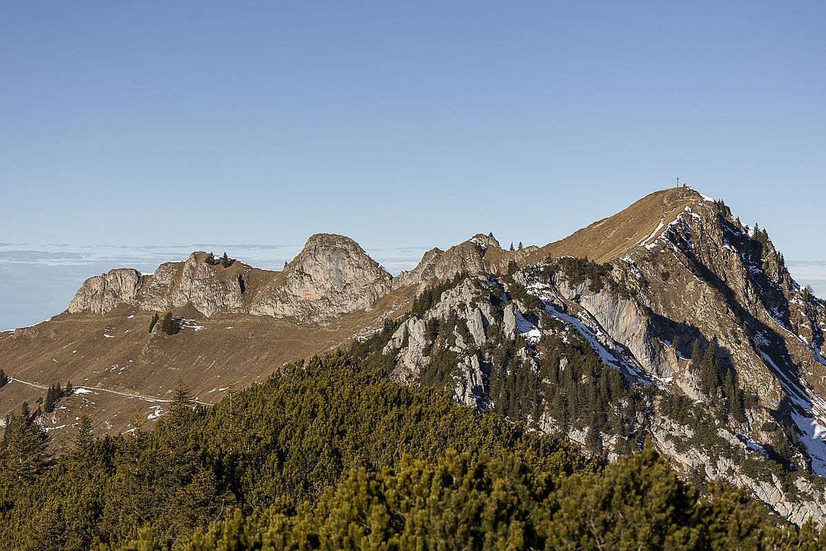 Blick zur Rotwand-Südseite vom Auerspitz