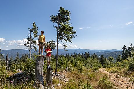 Zwischengipfel für die Mädels am Aufstieg zum Großen Arber Zwischengipfel für die Mädels am Aufstieg zum Großen Arber