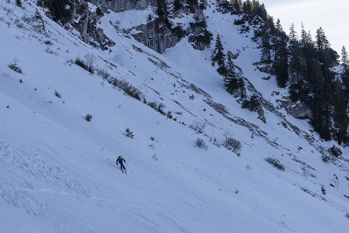 Einige gute Schwünge im tragenden Harsch in der Nordflanke