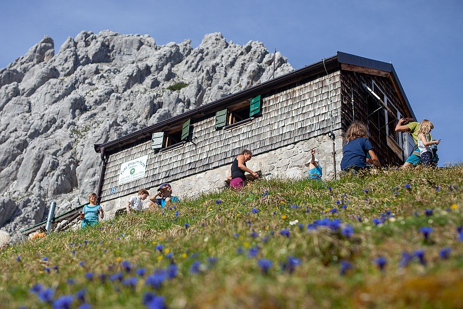 Enzianblüte an der Pflaumhütte Enzianblüte an der Pflaumhütte