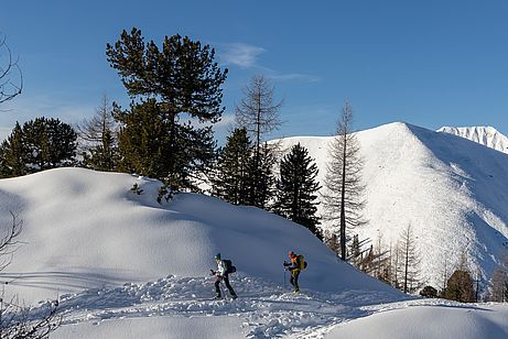 Super Skigelände - hinten der Spirzinger Super Skigelände - hinten der Spirzinger