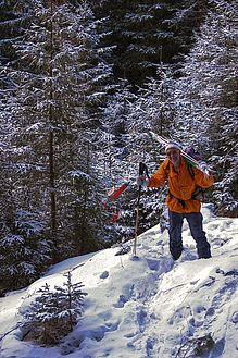 Es geht doch nichts über einen gscheiten Wald 6er Es geht doch nichts über einen gscheiten Wald 6er