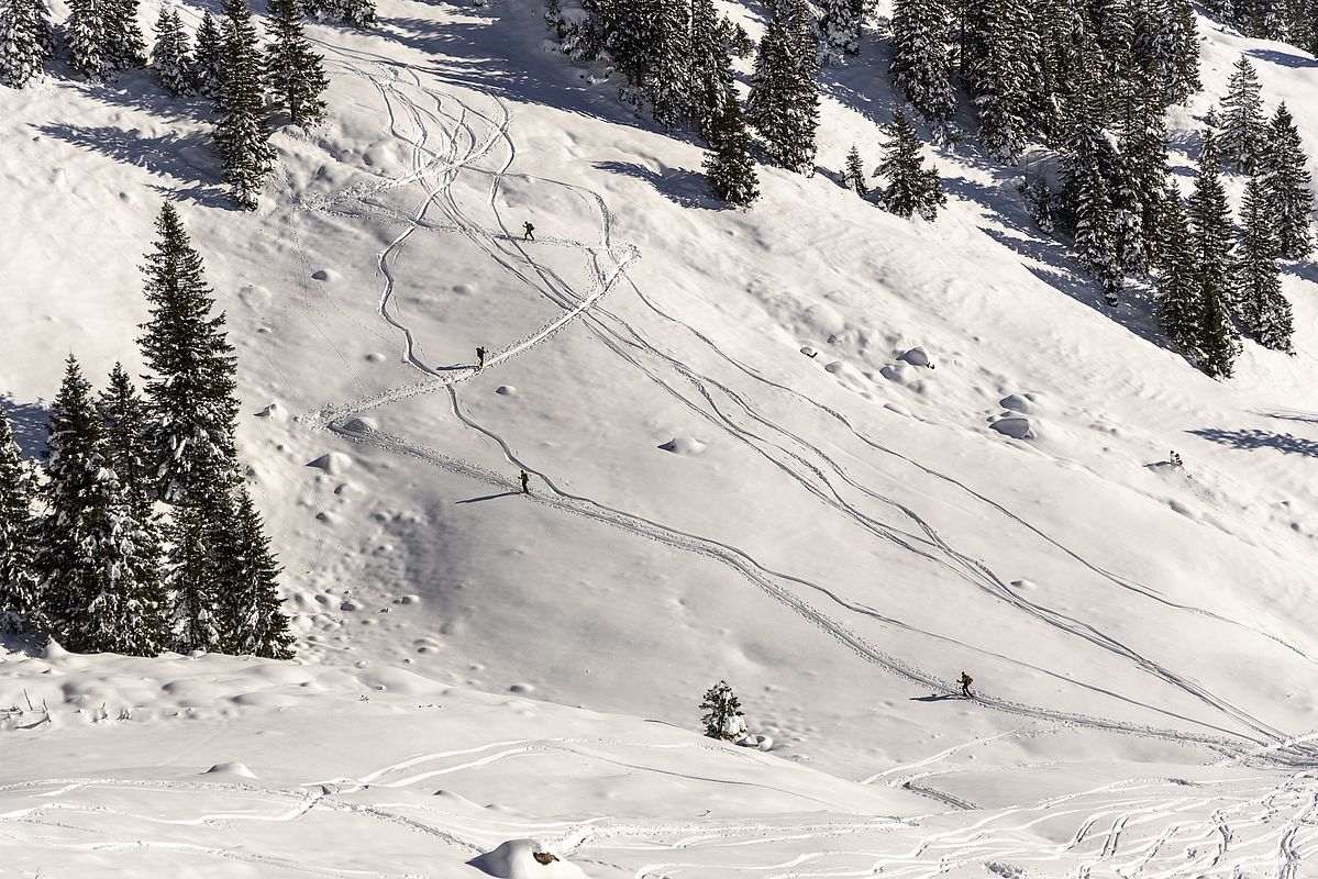 Spur vom Krottental zur Aiplspitze