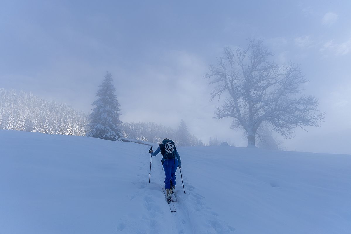 An der Talalm kommen wir dann aus der Nebelsuppe
