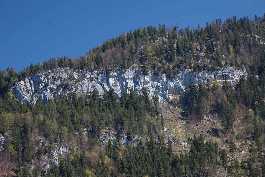 Blick auf die "Fiaggn-Wand" von Achleiten
