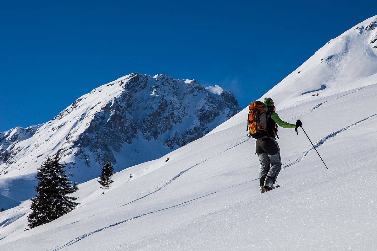 Im Bereich der Saalhof-Hochalm - hinten der Geißstein.