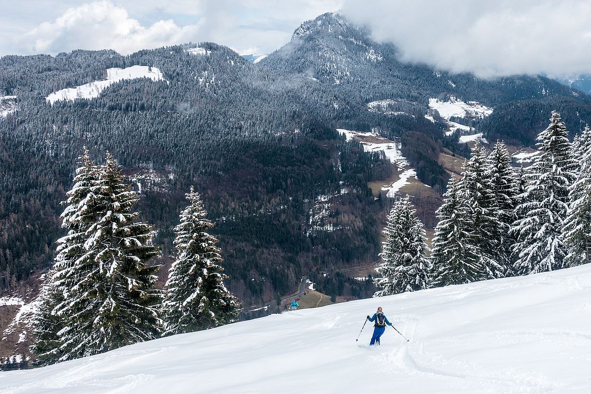 Sanfte Wiesen oberhalb der Schoißeralm