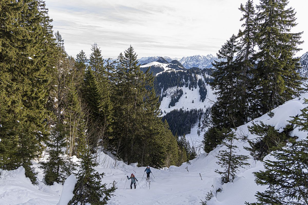 Das letzte Stück vor dem Gipfel