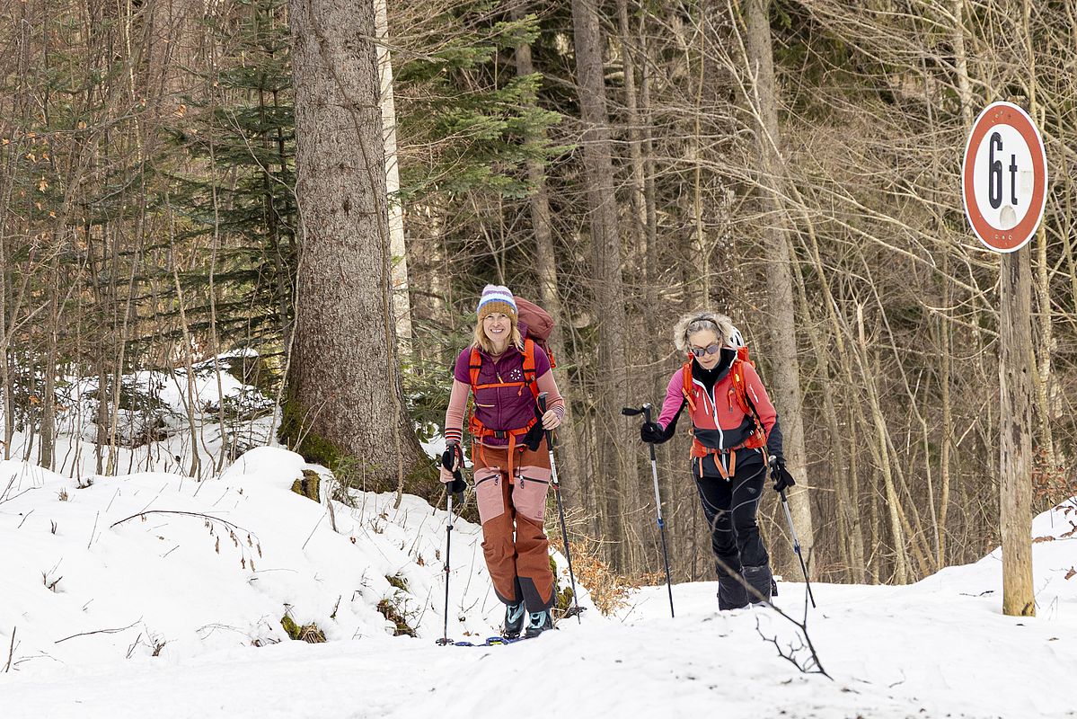 Aufstieg auf der Rodelbahn und Forststraße zur Freudenreichalm geht gut